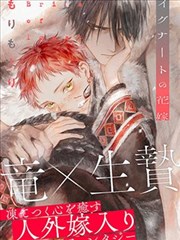 编辑严选作品封面一